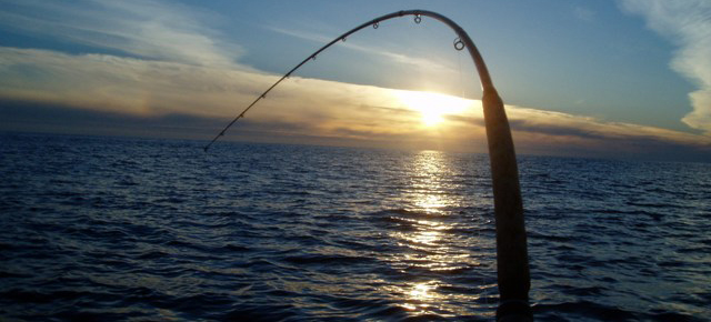 Fishing Pole reeling in a large fish in Long Island Sound