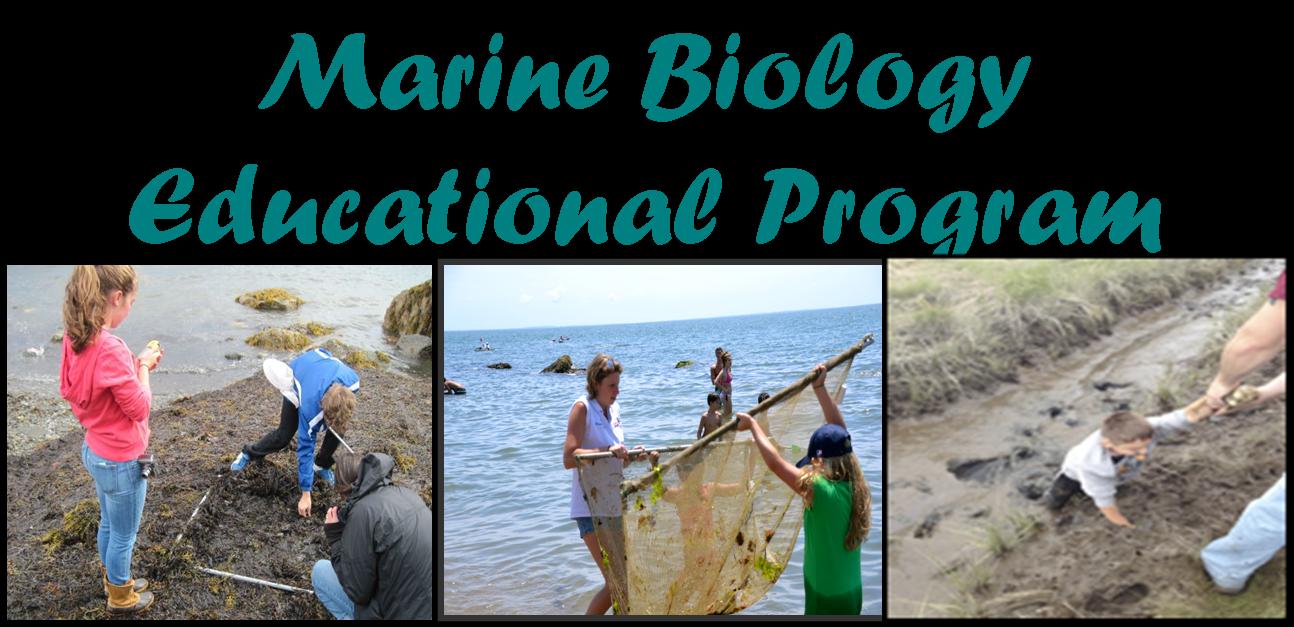Marine biology educational program showing students working with marine life
