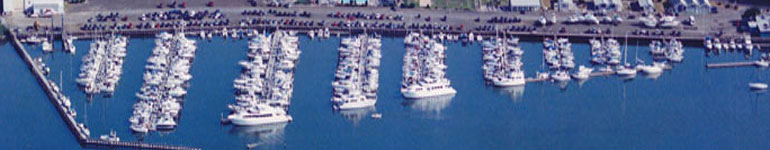 Aerial Photograph of Cedar Island Marina